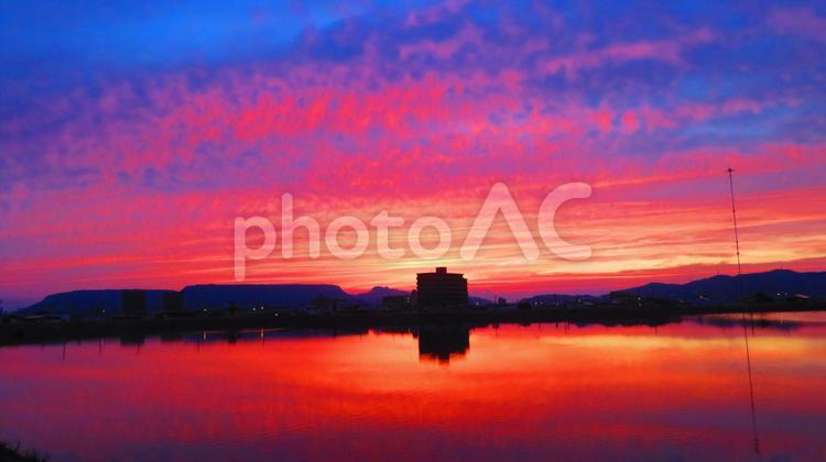 ６月中旬の野田池の朝焼け 朝焼け,日の出,たそがれの写真素材