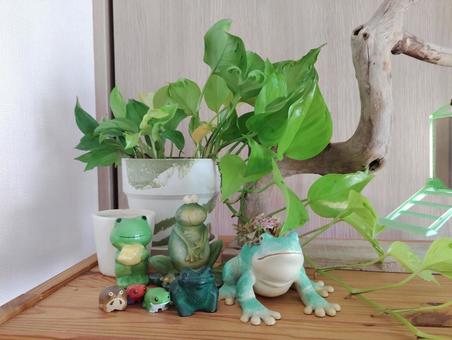 カエル カエル,雑貨,置物の写真素材