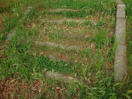 雑草で埋まりそうな石階段 雑草で埋まりそうな石階段の写真