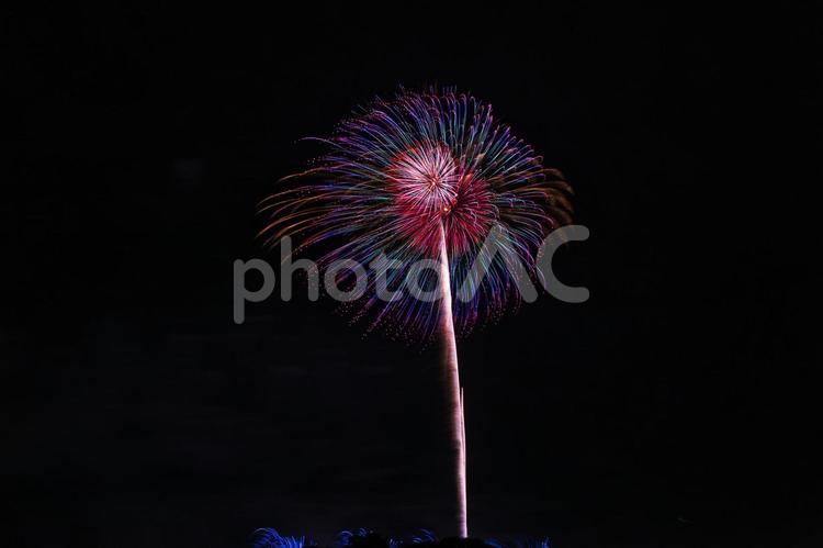 虹色の打ち上げ花火 花火,花火大会,打ち上げ花火の写真素材