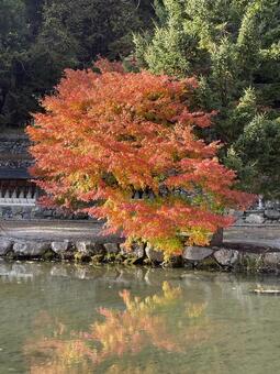 晩秋の田舎 風景,レトロ,ノスタルジーの写真素材