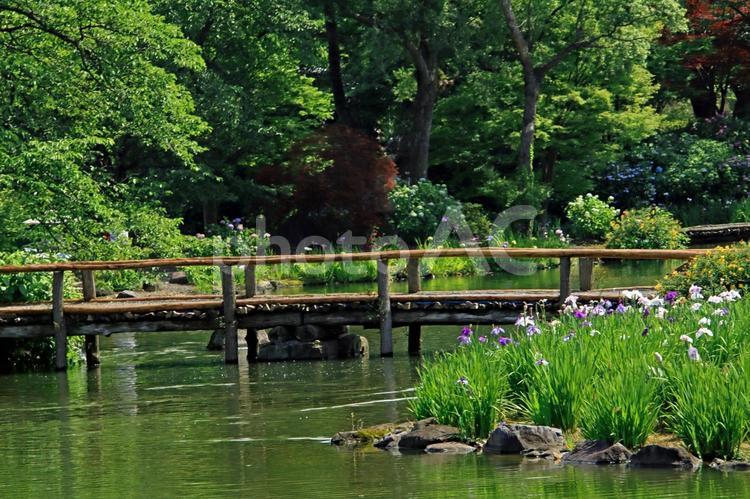 公園や自然のイメージ 公園,自然,旅の写真素材