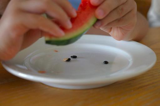 すいかを食べて種を落とす子供の手 すいかを食べて種を落とす子供の手 すいか,子ども,手の写真素材