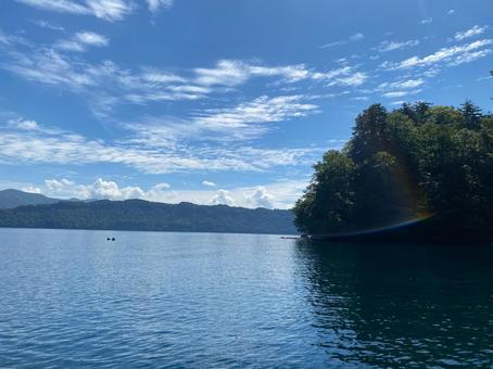 夏の十和田湖 鴨 夏の十和田湖 鴨 鴨,十和田湖,十和田の写真素材