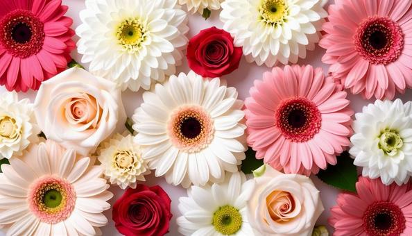 10月誕生花 ガーベラとバラ 10月誕生花 ガーベラとバラの写真