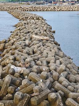 テトラポッドが続く港の風景 テトラポッド,消波ブロック,防波堤の写真素材