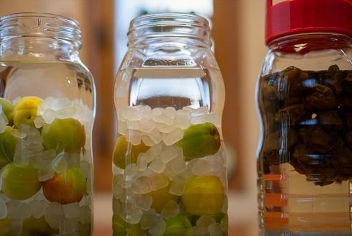 梅仕事：自家製シロップと梅酒 梅仕事,梅シロップ,梅酒の写真素材