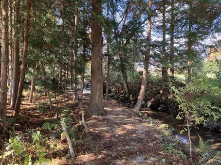 遠野のカッパ淵風景（秋） カッパ淵,カッパ,遠野の写真素材