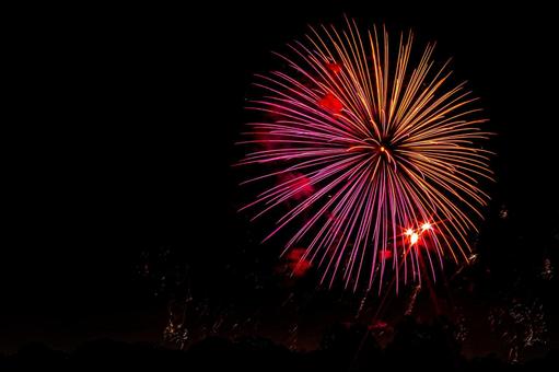 鮮やかなピンクとオレンジの打ち上げ花火 鮮やかなピンクとオレンジの打ち上げ花火の写真