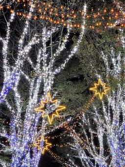 虹の郷　イルミネーション ルミネーション,クリスマス,夜景の写真素材