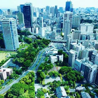 東京タワーから見下ろした街並み 東京タワーから見下ろした街並みの写真
