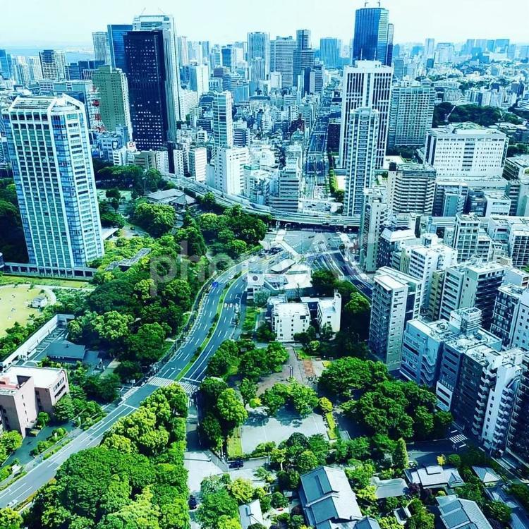 東京タワーから見下ろした街並み 東京,街並み,緑の写真素材