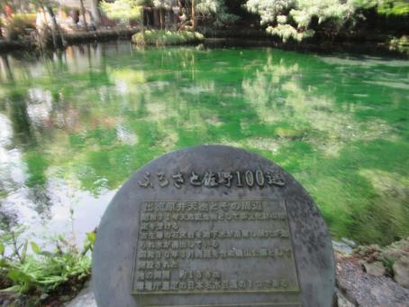 関東のモネの池と呼ばれる出流原弁天池 関東のモネの池と呼ばれる出流原弁天池の写真
