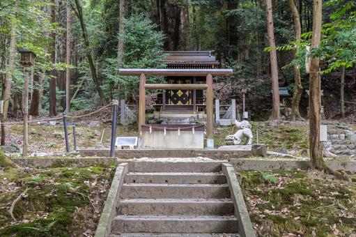 滋賀　近江神宮　栖松遥拝殿 近江神宮,神社,滋賀県の写真素材