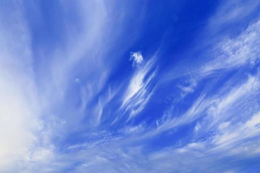青空 雲 青空 雲の写真