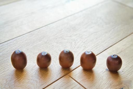 どんぐりの整列 どんぐり,ドングリ,団栗の写真素材