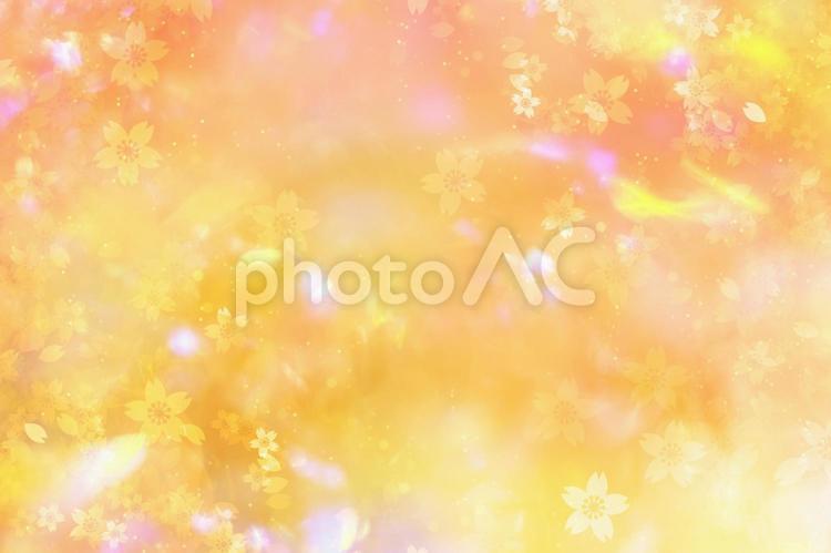 舞い散る桜のオレンジ背景乙女の輝き 桜,春,背景の写真素材