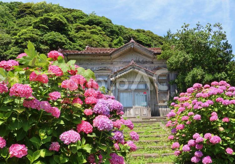 佐渡相川郷土博物館近くの古い建物と紫陽花 佐渡,佐渡ヶ島,佐渡島の写真素材