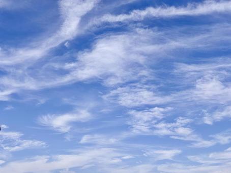 【風景写真】夏空 【風景写真】夏空の写真
