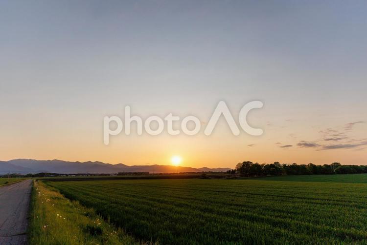 夕焼けと十勝の畑 夕焼けと十勝の畑,夕焼け,道の写真素材