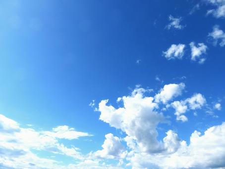 夏の青空 夏の青空の写真