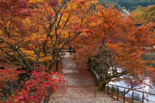 永谷山円通寺（兵庫県丹波市）-2 円通寺,丹波市,兵庫県の写真素材