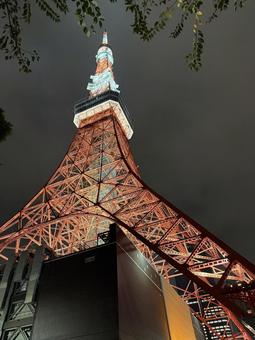 東京タワー 東京タワー,東京,タワーの写真素材