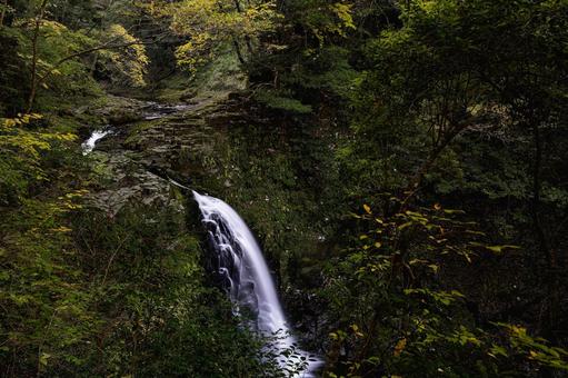 三重-【赤目四十八滝（紅葉）】 赤目四十八滝,赤目四八滝,川の写真素材