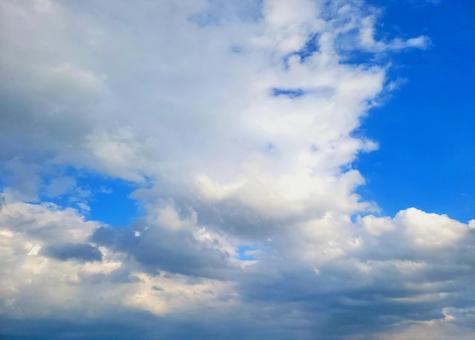 夏の青空 大きな白い雲 大空 晴れの日 夏の青空 大きな白い雲 大空 晴れの日 夏,青空,晴れの日の写真素材