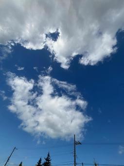 青空、白い雲、空、雲 青空、白い雲、空、雲の写真