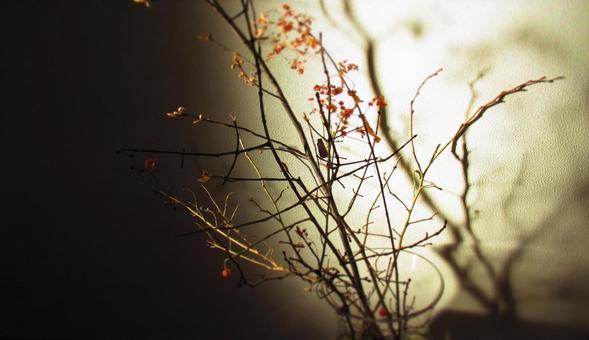 光と影 光,影,暗いの写真素材