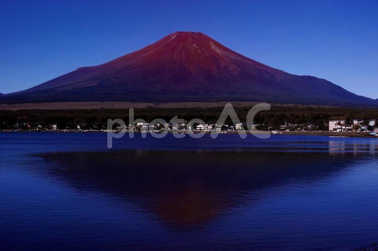 山中湖から見た赤富士と逆さ富士 富士山,赤富士,山中湖の写真素材