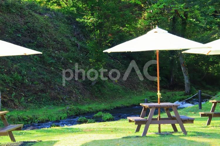夏の公園のイメージ 公園,自然,夏の写真素材