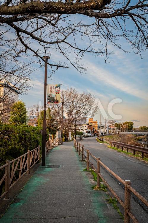 　清須市の風景 名古屋,愛知,愛知県の写真素材