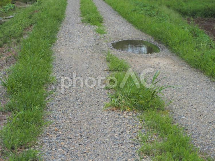 風景　砂利道と水たまり 道,砂利道,田舎道の写真素材