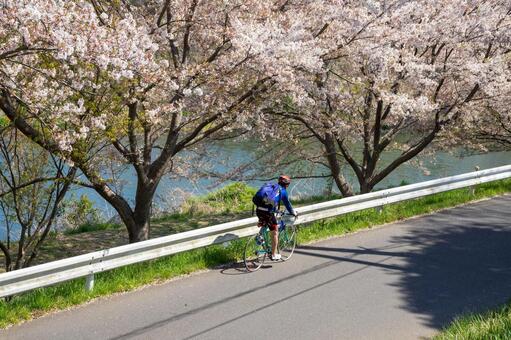 満開の桜 満開の桜の写真