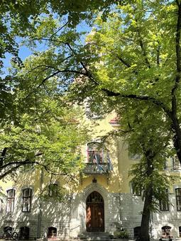 タリンの街並み タリンの街並み tallinn,croatia,タリンの写真素材