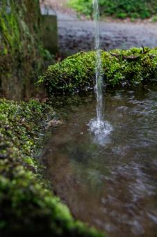 苔の生えた小さな池に流れ落ちる水 苔の生えた小さな池に流れ落ちる水の写真