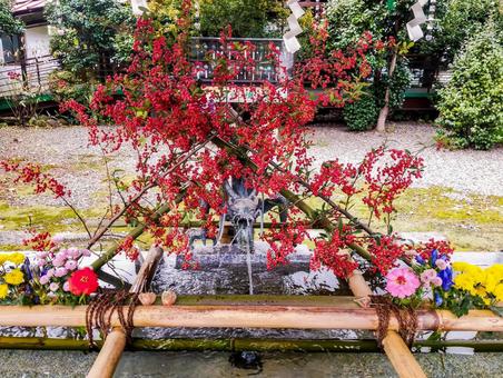 南天の竜 二宮神社,手水舎,南天の写真素材
