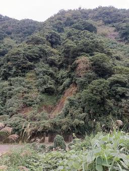 牛根の崖 崖,牛根の崖,垂水市の写真素材