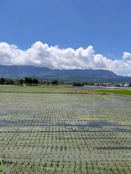 台東 関山の風景 台東 関山の風景の写真