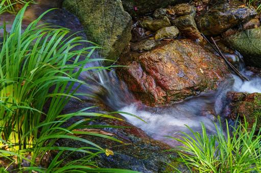 苔むした岩と静かに流れる清流 風景,自然,水の写真素材