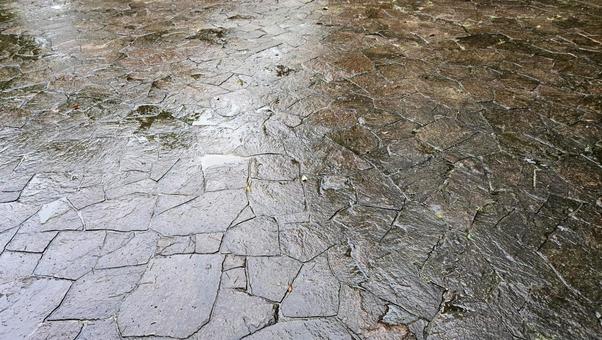 雨の武蔵塚公園 石畳 雨の武蔵塚公園 石畳 武蔵塚公園,石畳,雨に濡れた石畳の写真素材