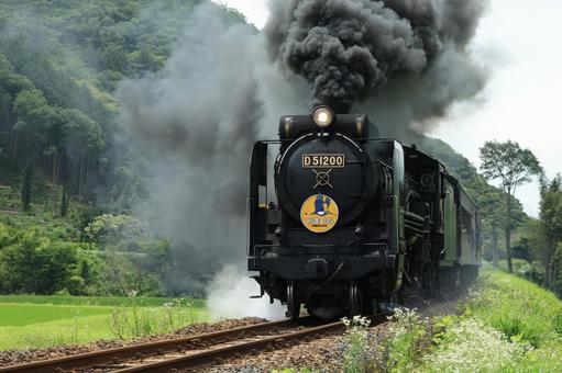 SLやまぐち号 D51 SLやまぐち号 D51 slやまぐち号,やまぐち号,蒸気機関車の写真素材