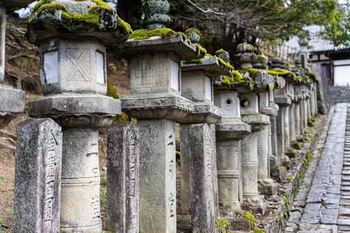 奈良 二月堂の苔むした灯籠 奈良 二月堂の苔むした灯籠 奈良,二月堂,灯籠の写真素材