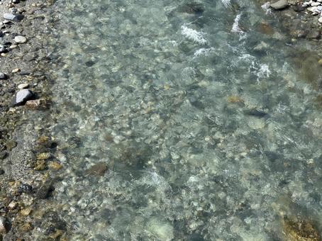 清流 松川の流れ 長野県白馬村 清流 松川の流れ 長野県白馬村の写真