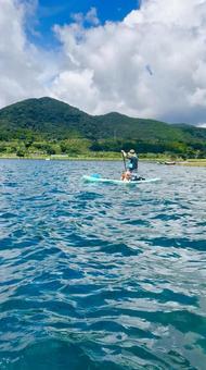 わんことSUP 犬,ラブラドール,supの写真素材