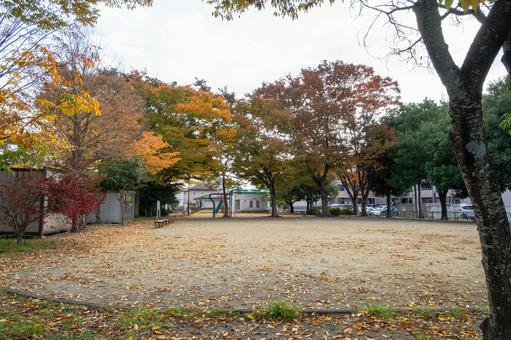 秋の公園⑹ 公園,秋,紅葉の写真素材