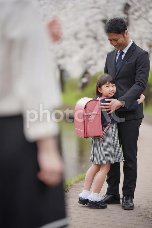 お父さんにくっつく女の子 入学,女の子,小学生の写真素材