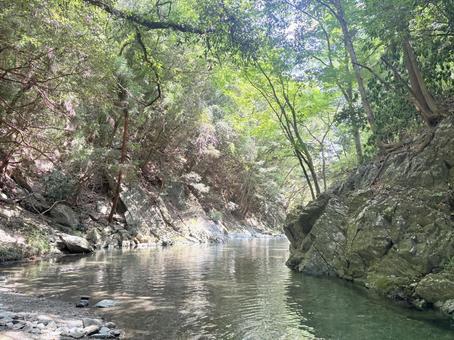 川 渓谷 自然 川 渓谷 自然 河,川遊び,自然の写真素材